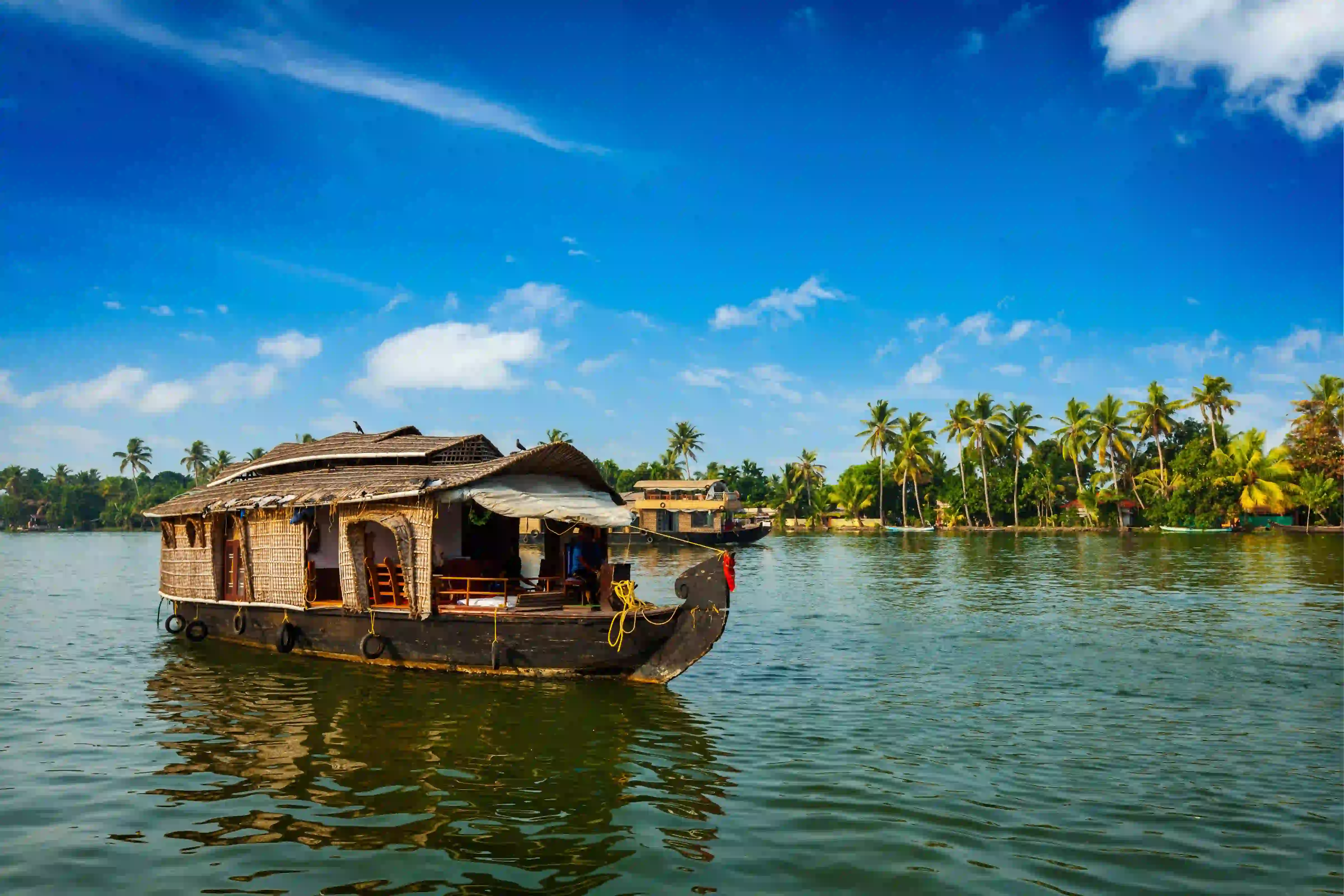 Kerala Backwaters & Ayurveda Retreat