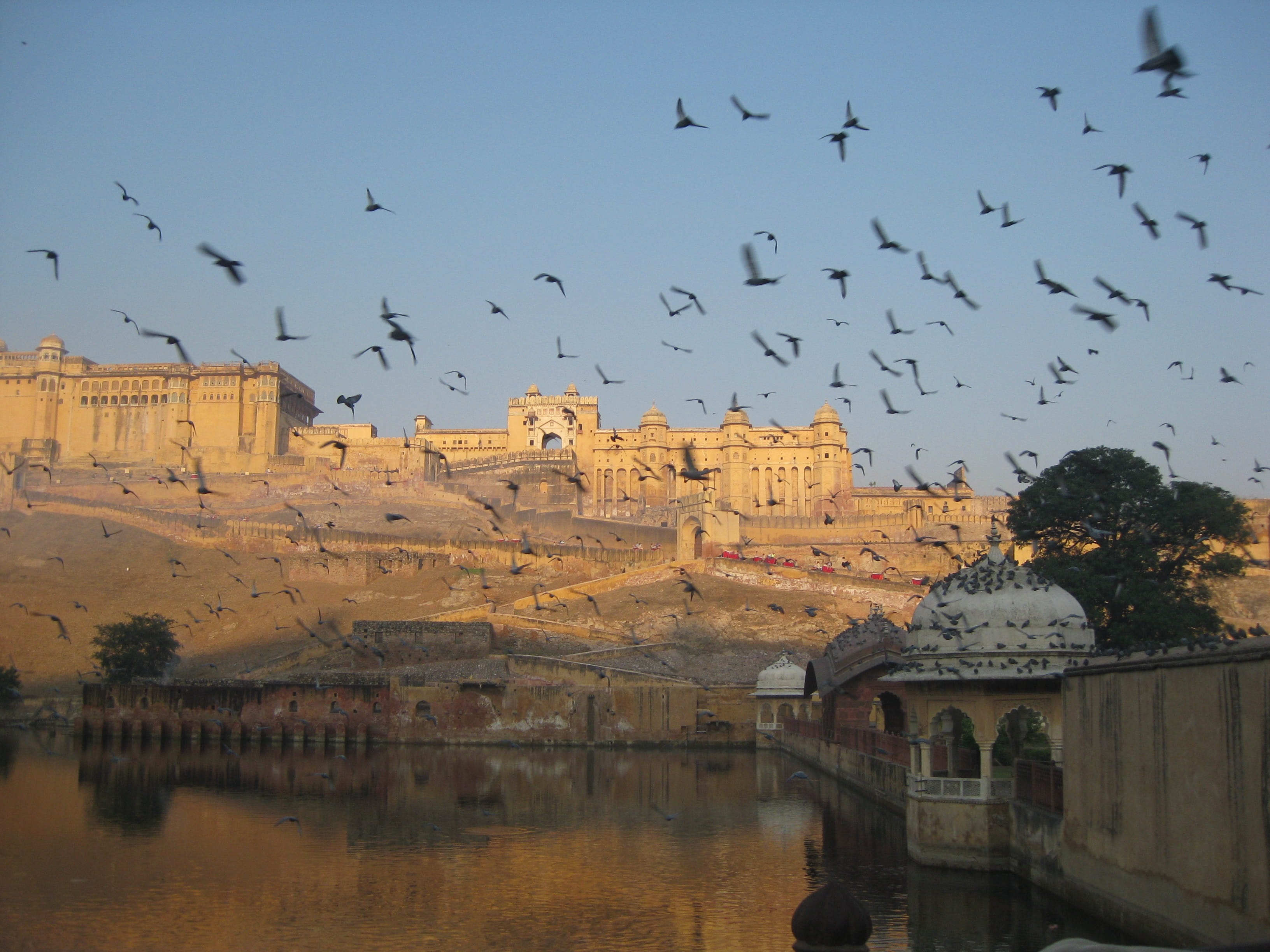 Golden Triangle Tour with Mandawa