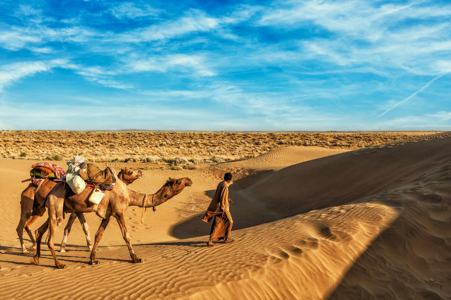 7-Day Rajasthan Itinerary: Explore Jaipur, Jodhpur, Udaipur & Jaisalmer